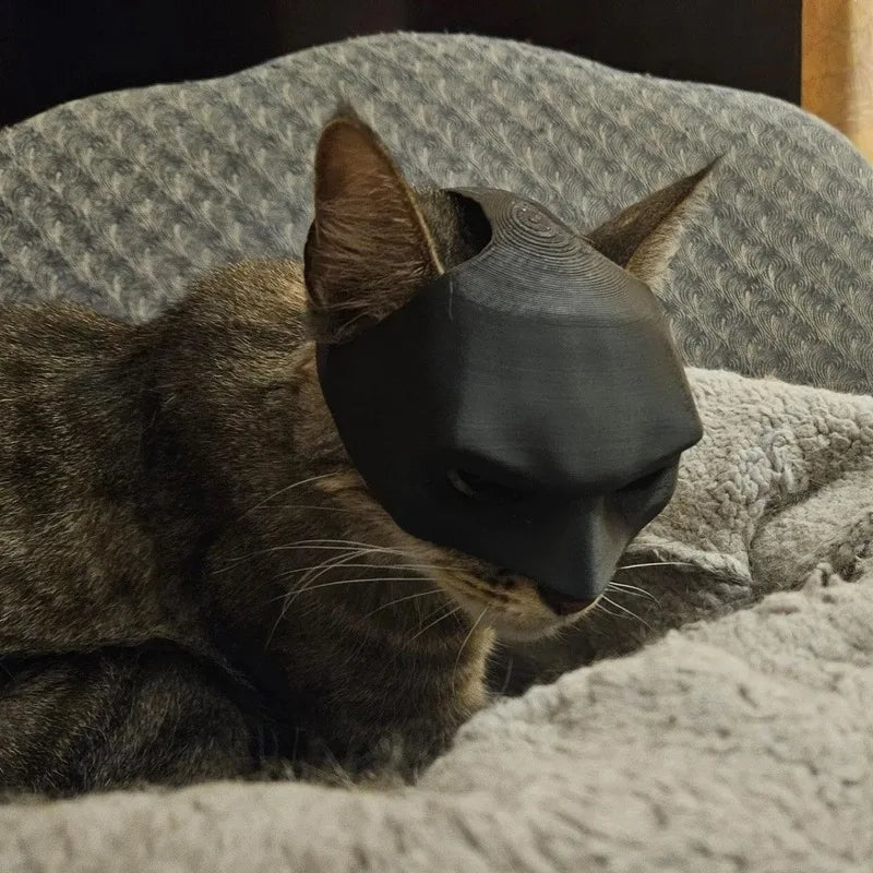 Cat Bat Mask – Cute Pet Costume for Cats & Small Pets