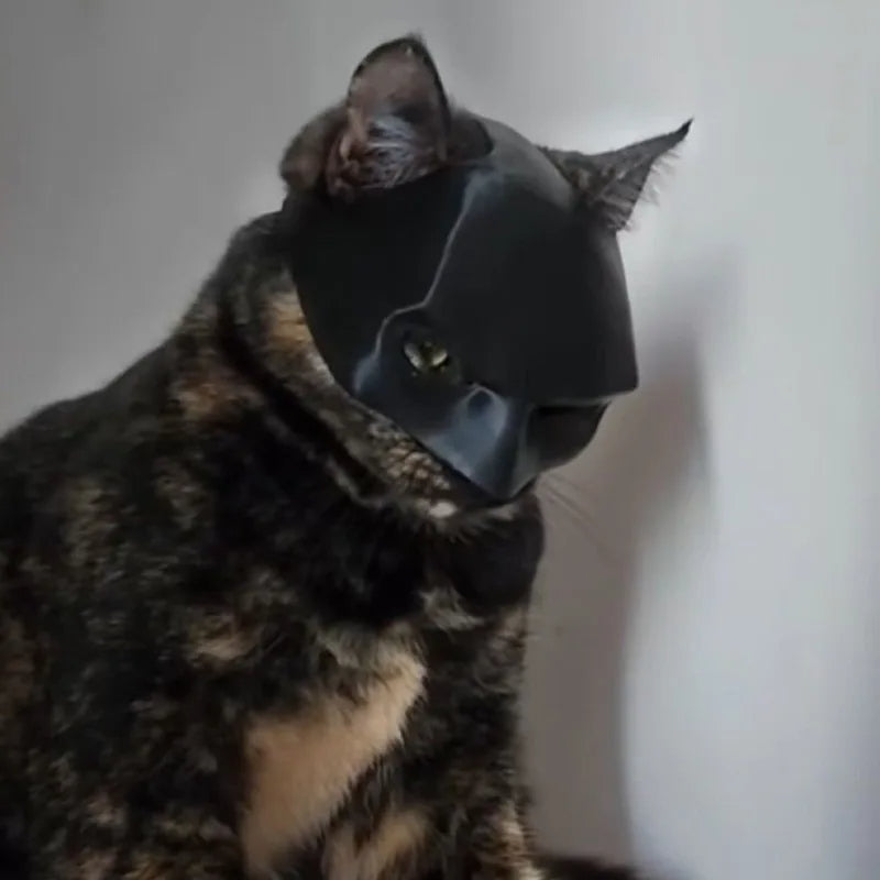 Cat Bat Mask – Cute Pet Costume for Cats & Small Pets